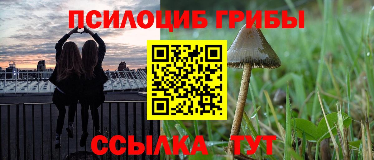 Псилоцибиновые грибы мицелий Керчь